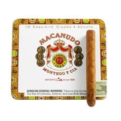 MACANUDO ASCOT 10 TIN NATURAL