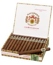 MACANUDO PETIT CORONA