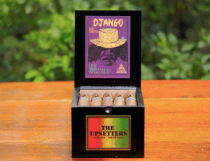 Box of 20