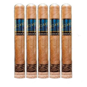 Pack of 5