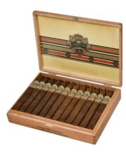 ASHTON VSG TORPEDO