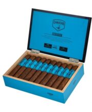 CAMACHO ECUADOR GORDO