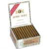 ARTURO FUENTE CURLY HEAD NATURAL