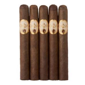Pack of 5