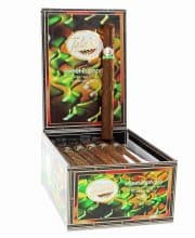 TATIANA CLASSIC SWEET EUPHORIA