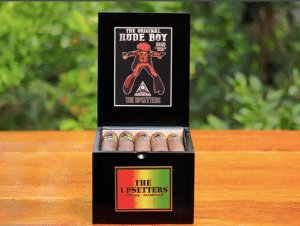 Box of 20