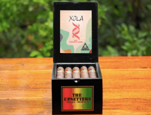 Box of 20