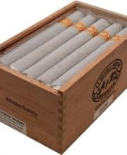 EL REY DEL MUNDO ROBUSTO