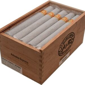 EL REY DEL MUNDO ROBUSTO