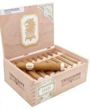 UNDERCROWN CONNECTICUT SHADE GORDITO