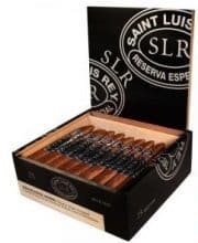 SAINT LUIS REY BELICOSO MADURO