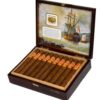 SAINT LUIS REY CARENAS TORO