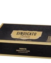 SINDICATO ARTISTA ROBUSTO