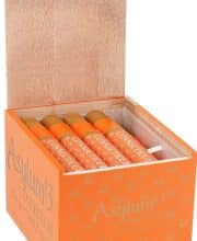 asylum 13 Connecticut 550 box of 25