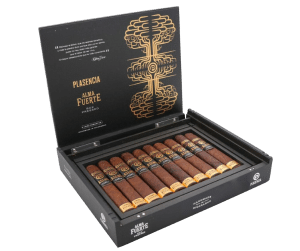 Box of 10