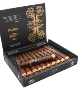 Box of 10