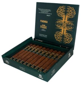 Box of 10