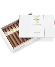 DAVIDOFF WINSTON CHURCHILL PETIT CORONA