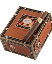 TATIANA CLASSIC CINNAMON