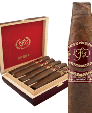 LA FLOR DOMINICANA CAPITULO II