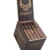 Asylum 13 Medulla Maduro 5x50