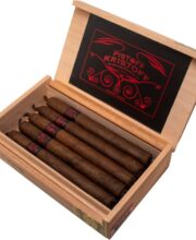 KRISTOFF PISTOFF ROBUSTO