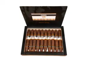 Box of 10