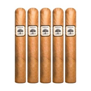 Pack of 5